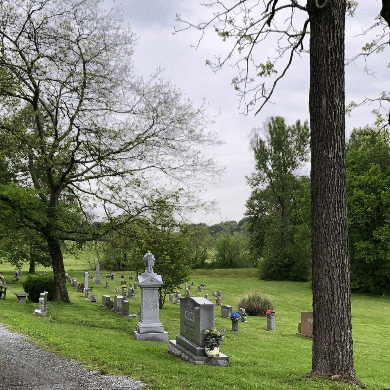 beech-cemetery