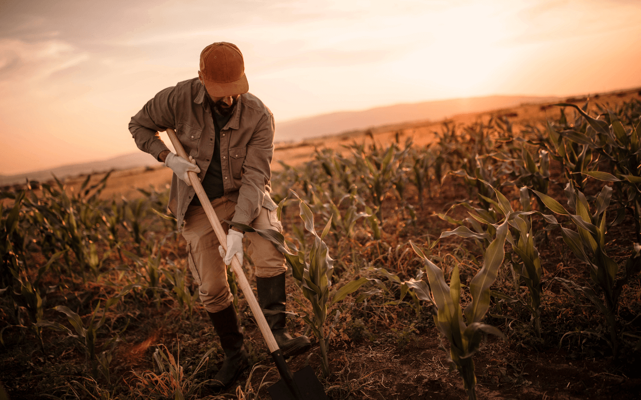 farmer-working-in-field